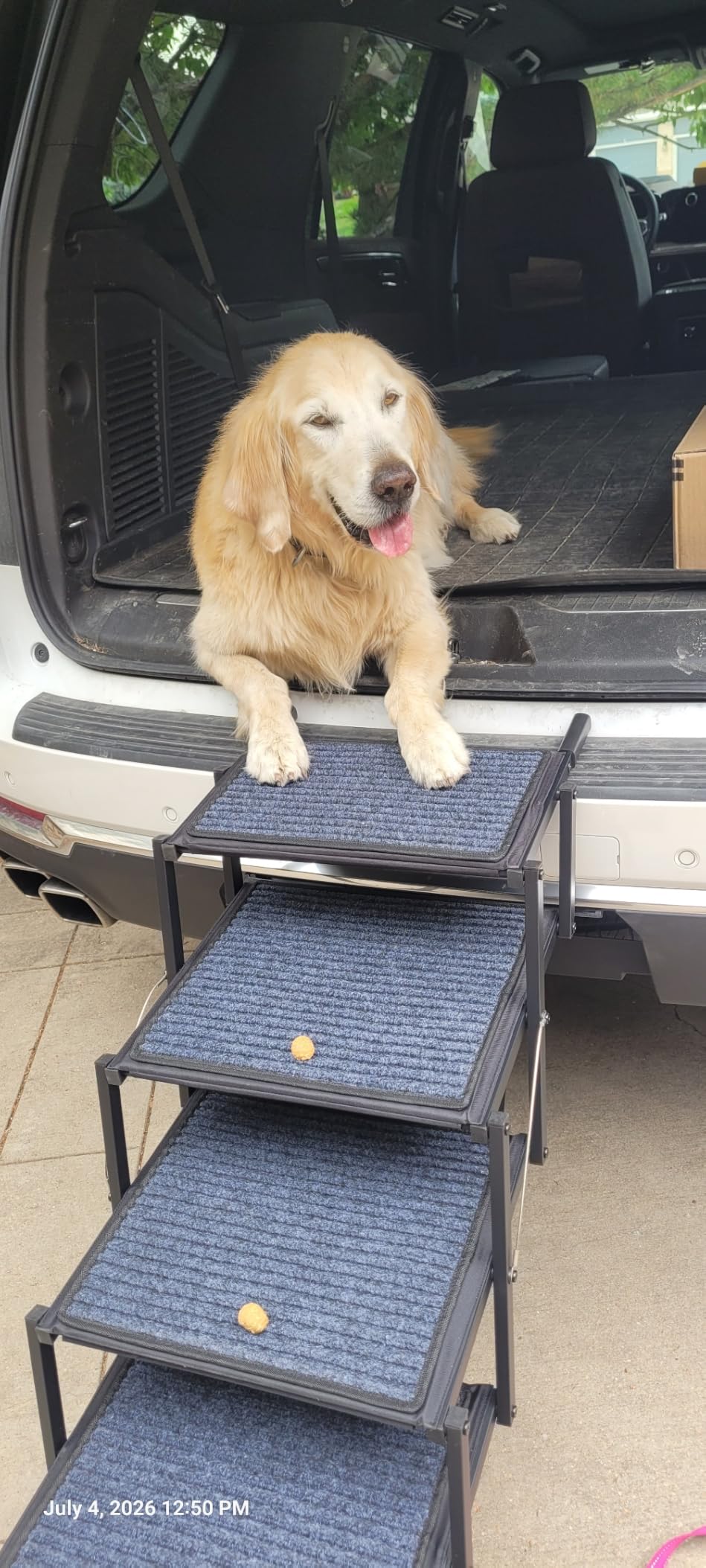 Dog Ramp for Car Truck and SUV Dog Stairs for Large Dogs Folding Pet Stairs with Non-Slip Rug Surface Supports Up to 250 lbs (5 Steps) customer photo 1