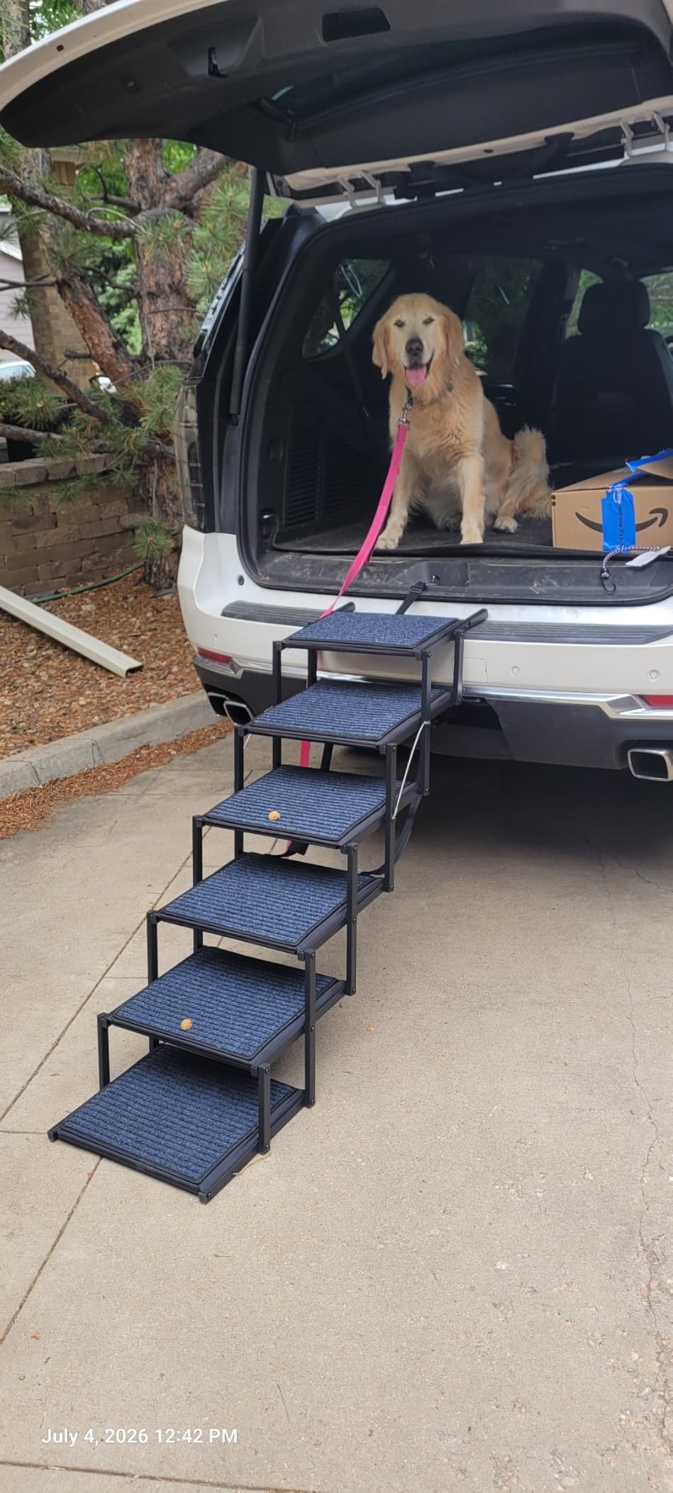 Dog Ramp for Car Truck and SUV Dog Stairs for Large Dogs Folding Pet Stairs with Non-Slip Rug Surface Supports Up to 250 lbs (5 Steps) customer photo 2