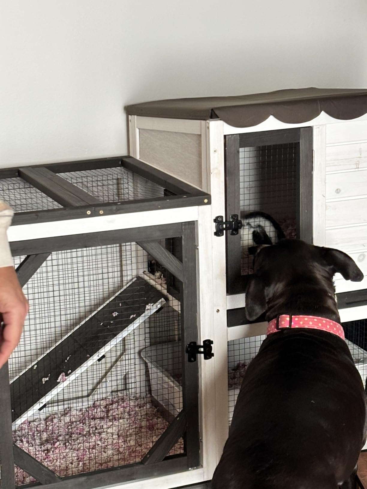 Gutinneen 2-Story Rabbit Hutch with Chew-Proof Ramp & Leak-Proof Trays - Indoor/Outdoor 39.3