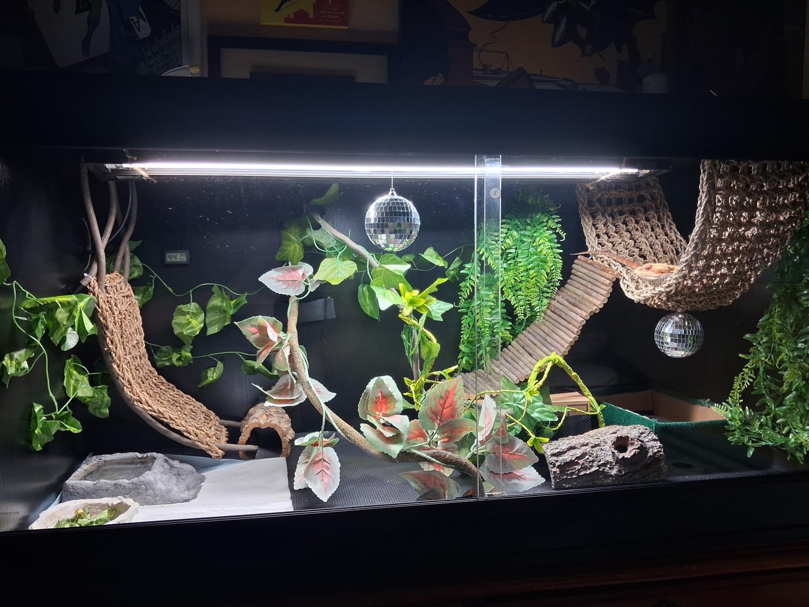 unipaws 110 Gallon Reptile Tank for Lizards, Bearded Dragon Enclosure Cage | Stackable, Glass Sliding Doors, Cable Port, Large Lockable Black Terrarium customer photo 1