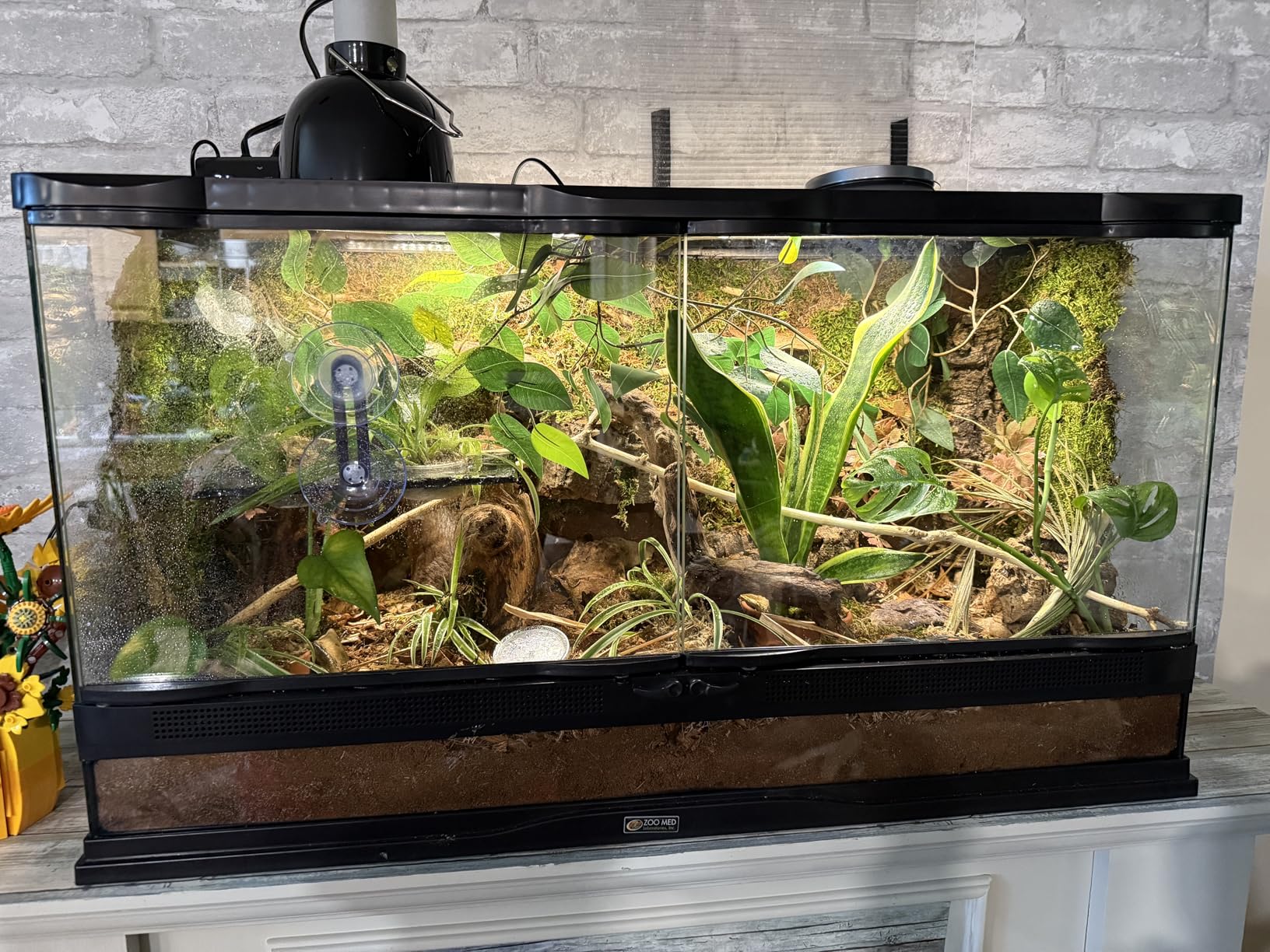 Reptile Heat Lamp Fixture with Dimming Thermostat - 5.5'' Light Dome with PID Thermostat customer photo 2