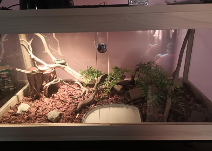 82 Gallon Bearded Dragon Tank, 48 x 20 x 20 Inch Tempered Glass Reptile Enclosure with Metal Mesh Top, Lockable Sliding Front Doors, Large Lizard and Snake Terrarium, Black customer photo 2