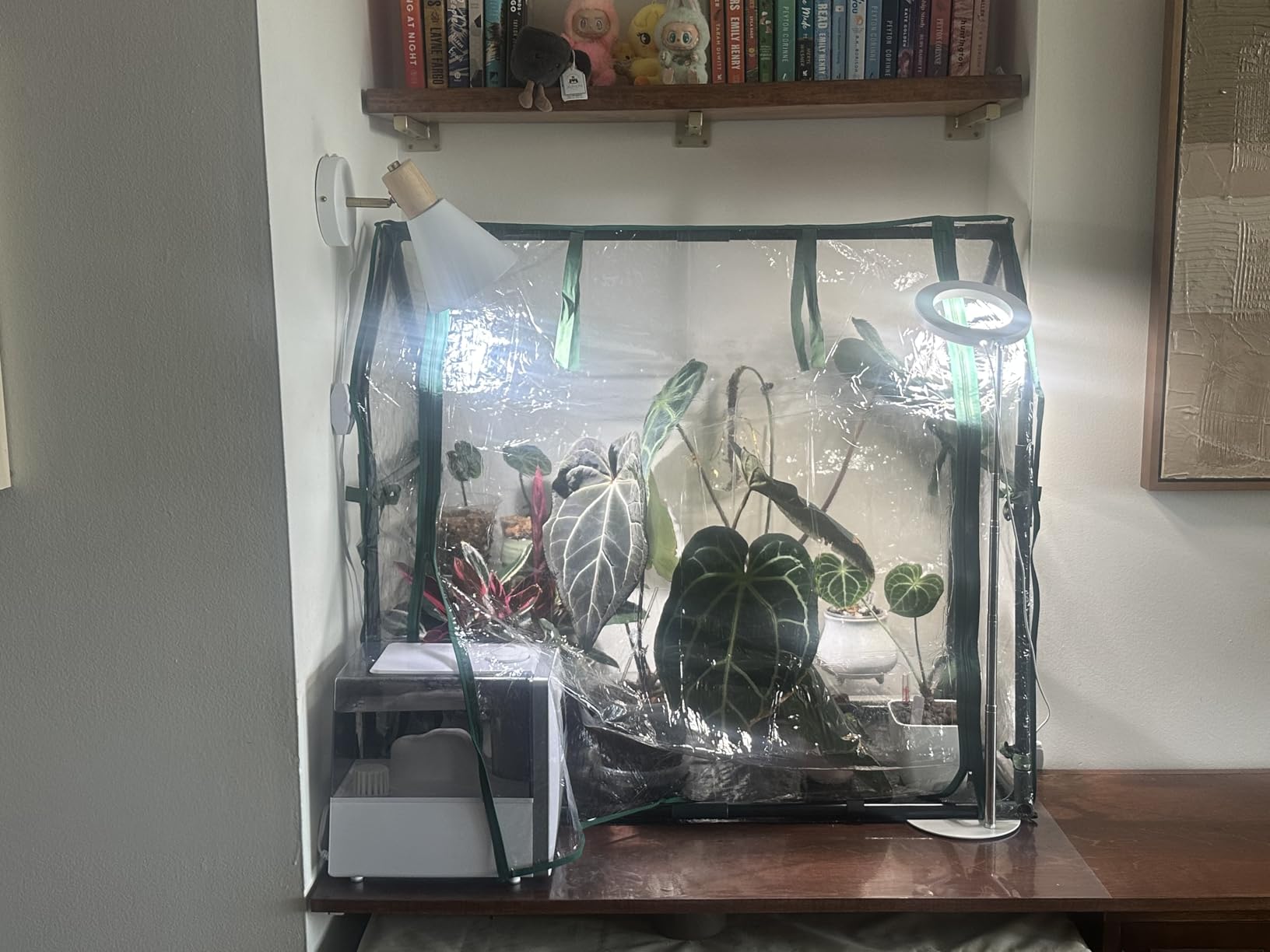 Gardzen Mini Greenhouse 71.7