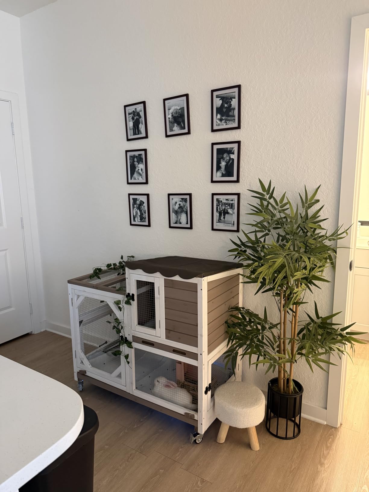GUTINNEEN Duplex Rabbit Hutch Indoor with Chew-Proof Frame & 2 Leak-Proof Sliding Trays, Rain Cover, Wooden Guinea Pig Cages with Wheels - Grey customer photo 2
