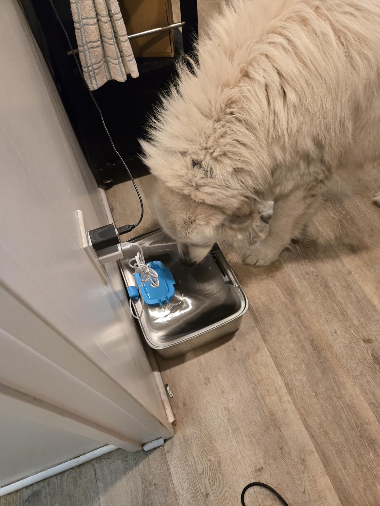 SIBAYS 4Gal/15L Dog Water Fountain for Large Dogs, Stainless Steel Large Pet Water Fountain, Ultra Quiet Automatic Dog Water Bowl Dispenser with Water Level Window and LED Light (FS78, Silver-Grey) customer photo 1