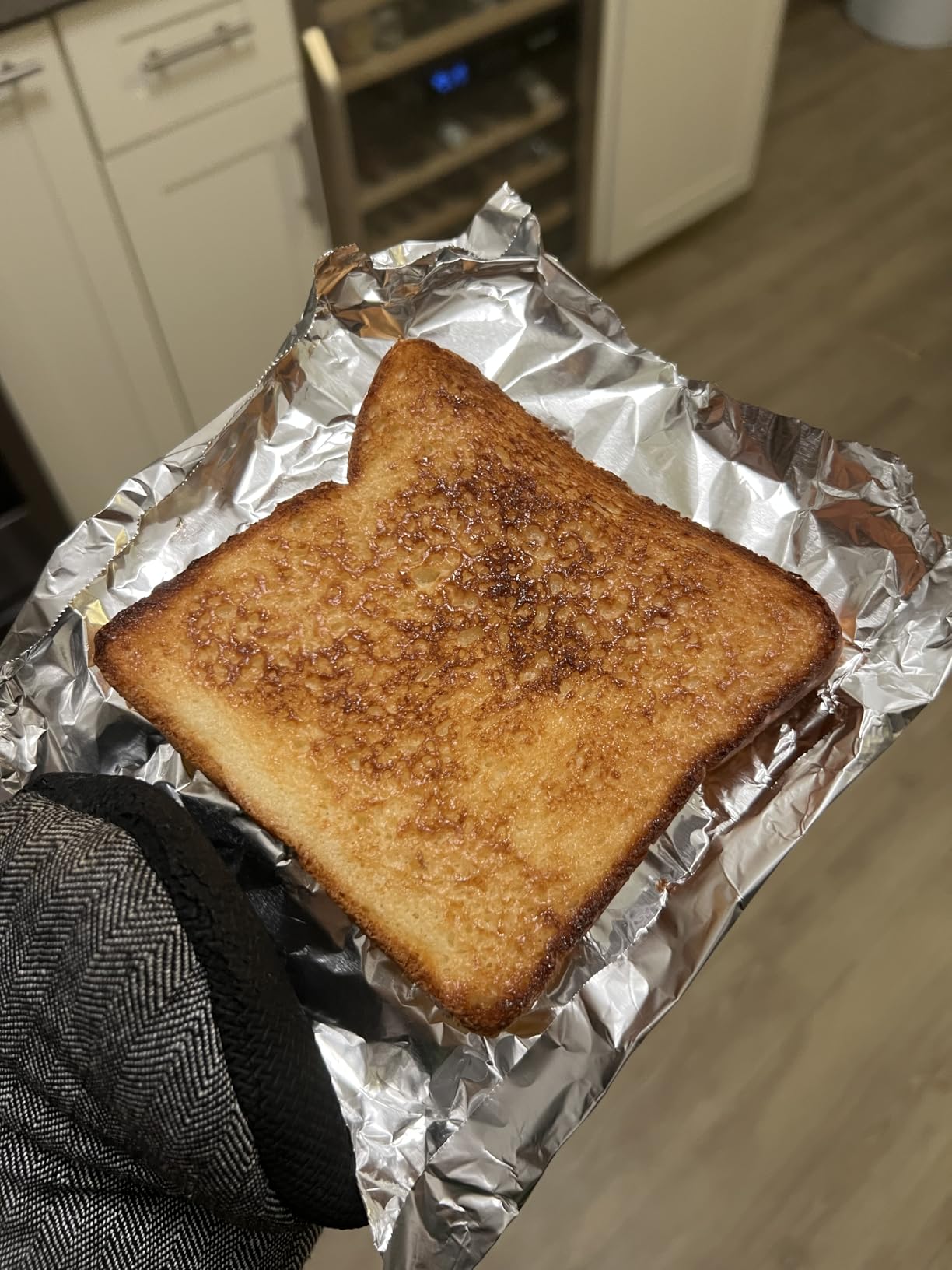 BALMUDA The Toaster Pro | Steam Oven Toaster | Compact 14.1