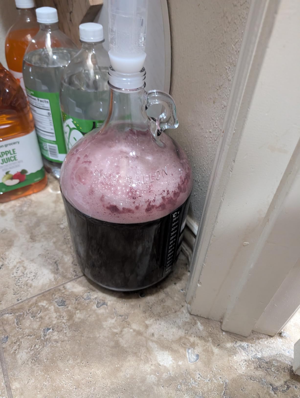 Wine Making Kit Home Brewing - Complete Grape Juice Brew Starter Set for Beginners, 1 Gallon Glass Fermentation Jar with 4 Bottles, Yeast & Nutrients, Siphon, Airlock and Step-By-Step Guide customer photo 1