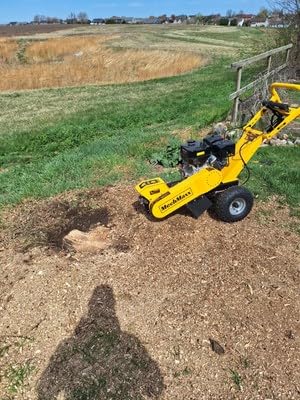 MechMaxx 12 Inch DUCAR 420cc 15HP Gasoline Engine Root Stump Grinder Tree Stump Removal, 8pcs Alloy Teeth, 12'' Cutting Height And 10'' Cutting Depth, Wheel Brake System, SGR1500 Yellow customer photo 2