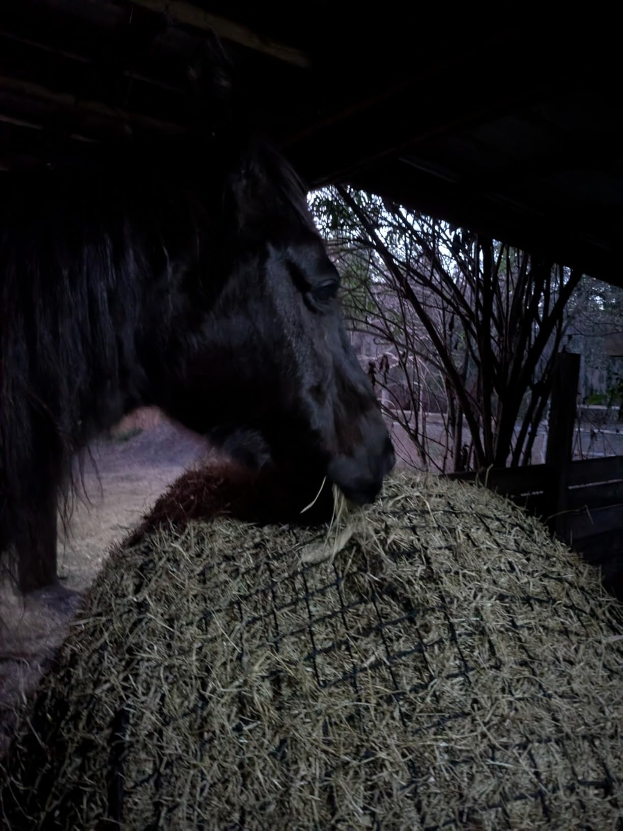 5x5 ft Round Bale Hay Net - Slow Feeder for Horses & Livestock, Extra Dense 2