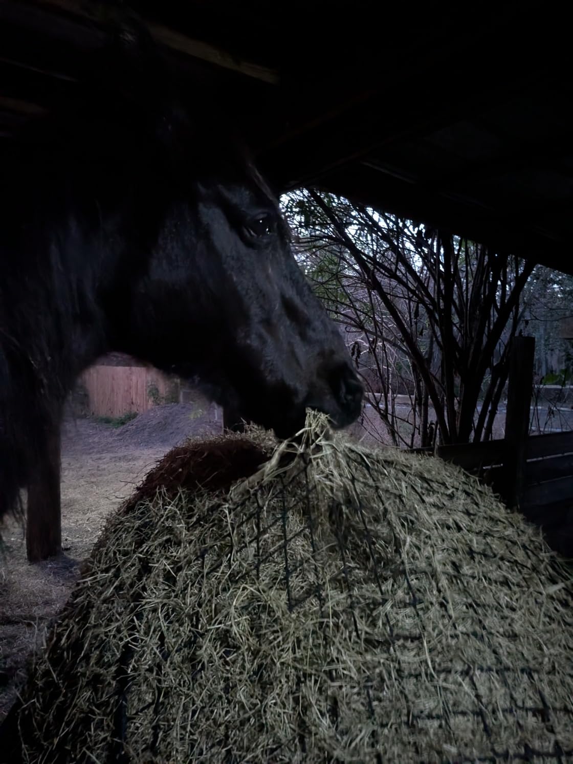 5x5 ft Round Bale Hay Net - Slow Feeder for Horses & Livestock, Extra Dense 2