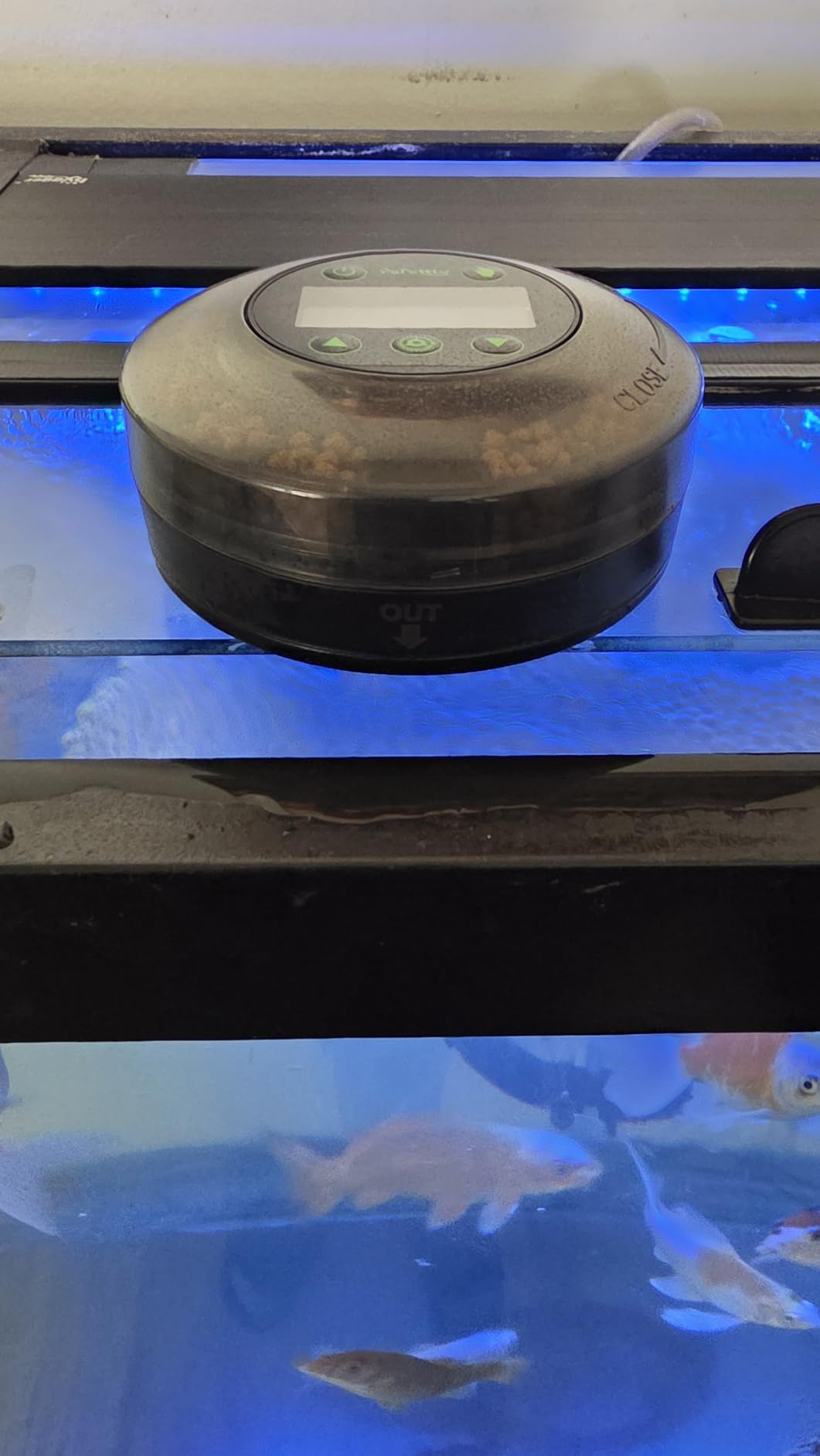 Papettly Automatic Fish Feeder for Aquarium - Auto Fish Food Dispenser for Fish Turtle Tank with USB Cable & LCD Display, Timer Fish Feeder for Vacation Weekend Holiday, with Fish Feeder Spoon customer photo 2