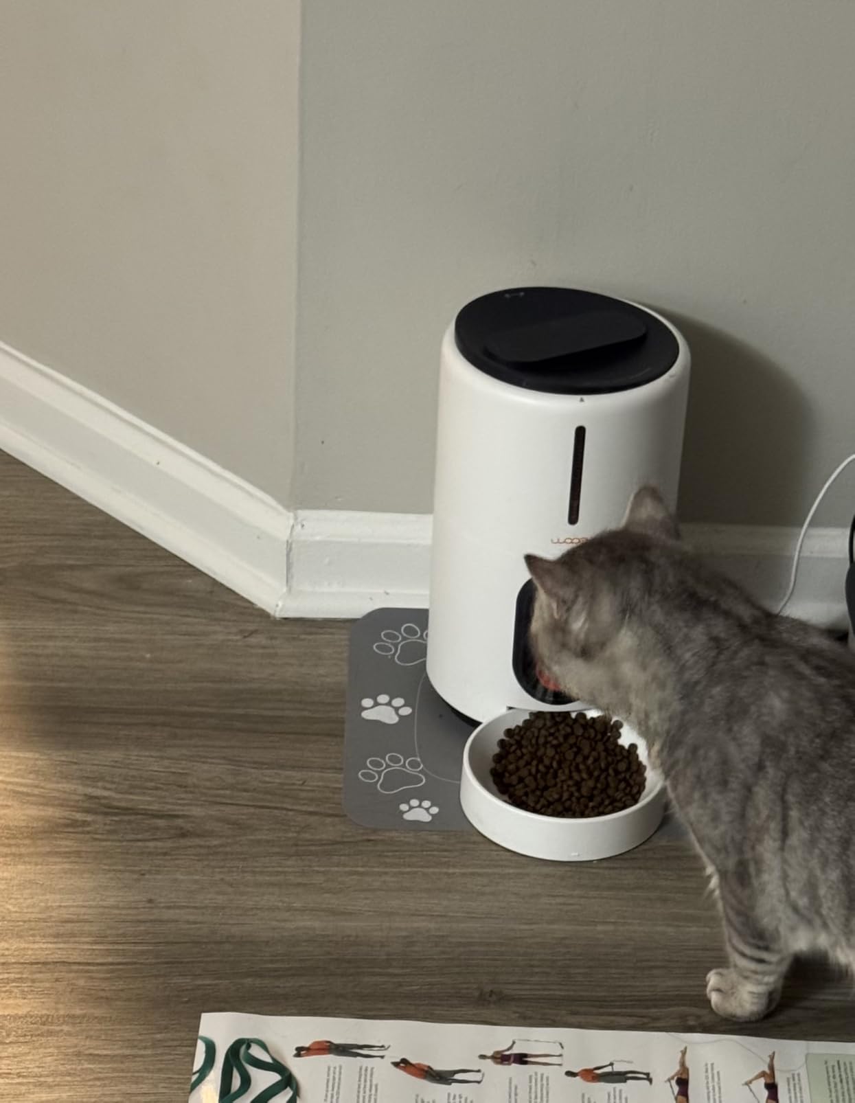 WOPET Automatic Cat Feeder with Camera for Two Cats, 6L Smart Pet Feeder with 1080P HD Video & Night Vision, 5G/2.4G WiFi Cat Dog Feeder, 2-Way Audio, SD Card Storage, Up to 10 Meals per Day customer photo 1