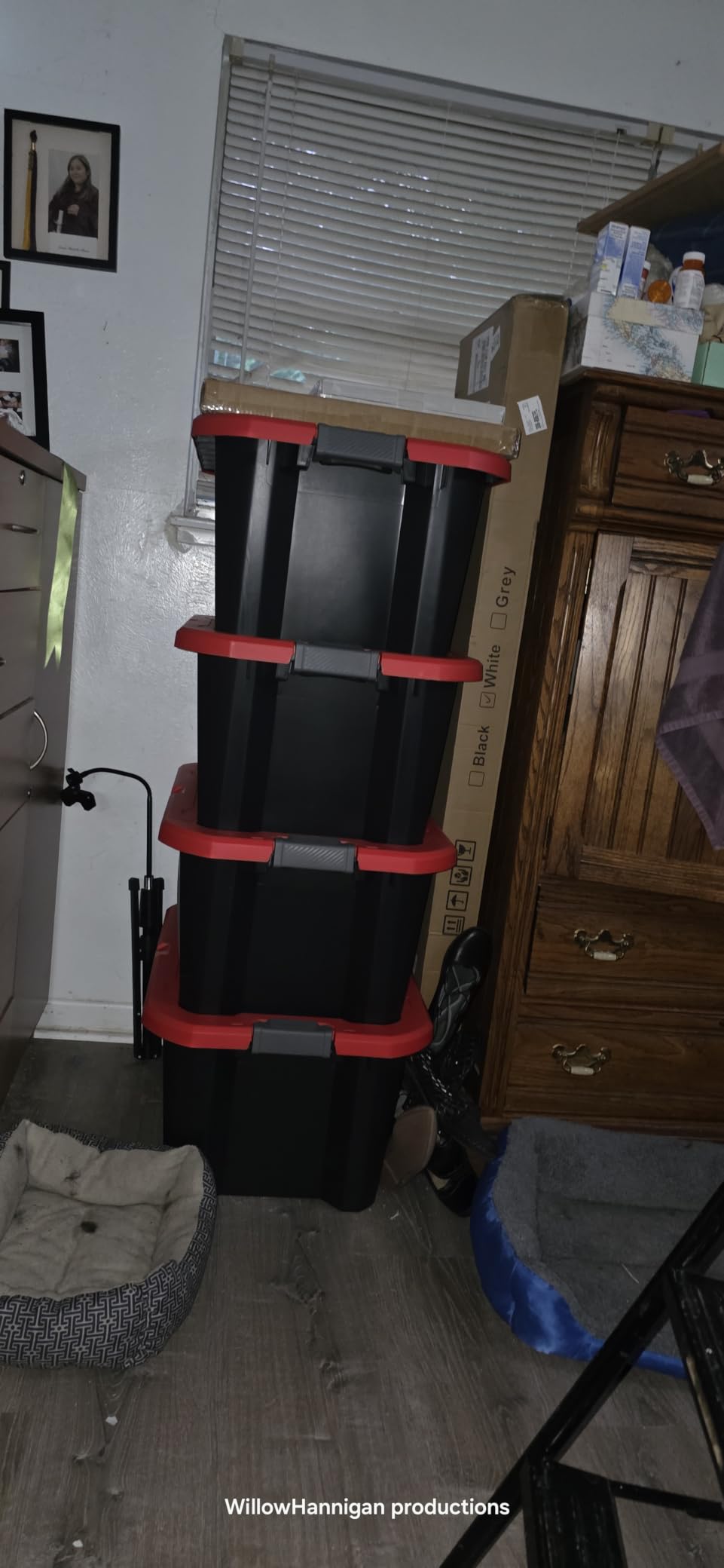 CRAFTSMAN 20-Gallon Heavy Duty Plastic Storage Bins with Lids, 4 Pack | 20-gal stackable storage totes with dual latching lids, Weather-resistant, 14.3H x 19.7W x 28.2D, Garage & home organization customer photo 1