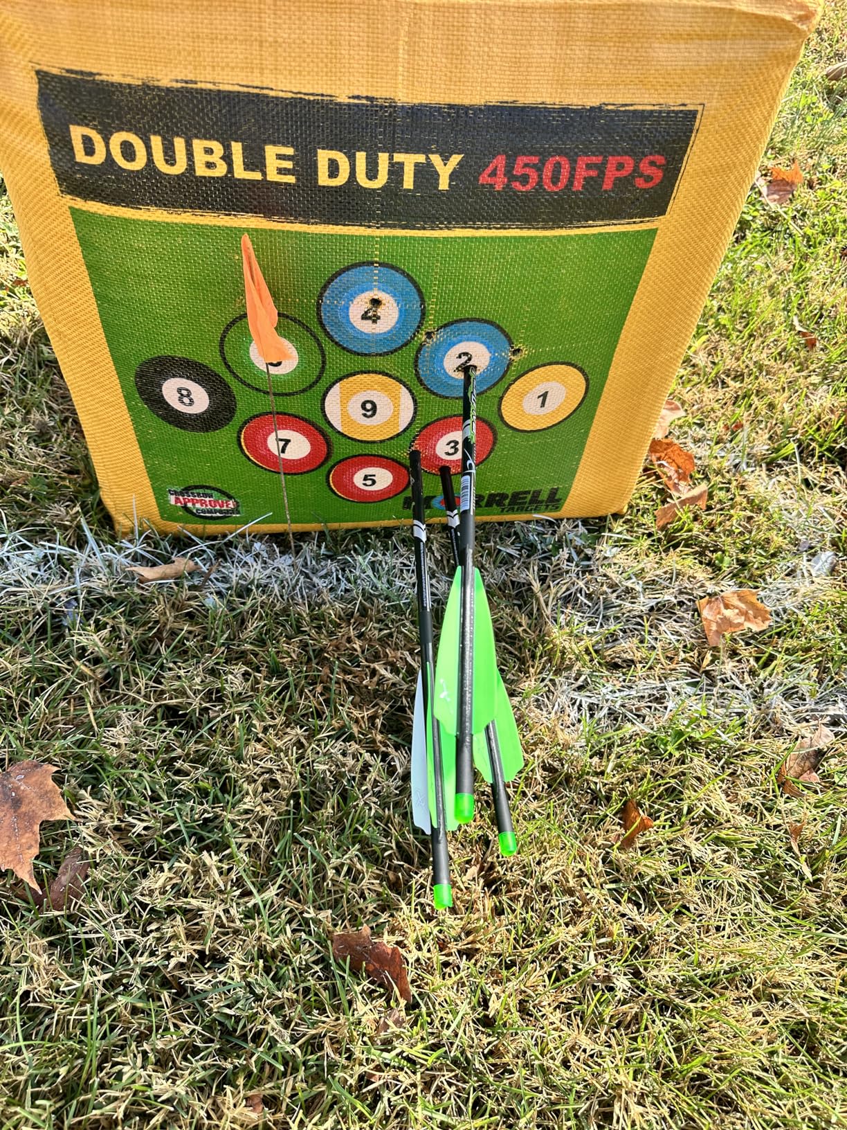 Morrell Double Duty 450 FPS Cube Field Point Archery Bag Target with Traditional Bullseyes, Nine-Ball, Dartboard Game, and Deer Vitals, Yellow customer photo 2