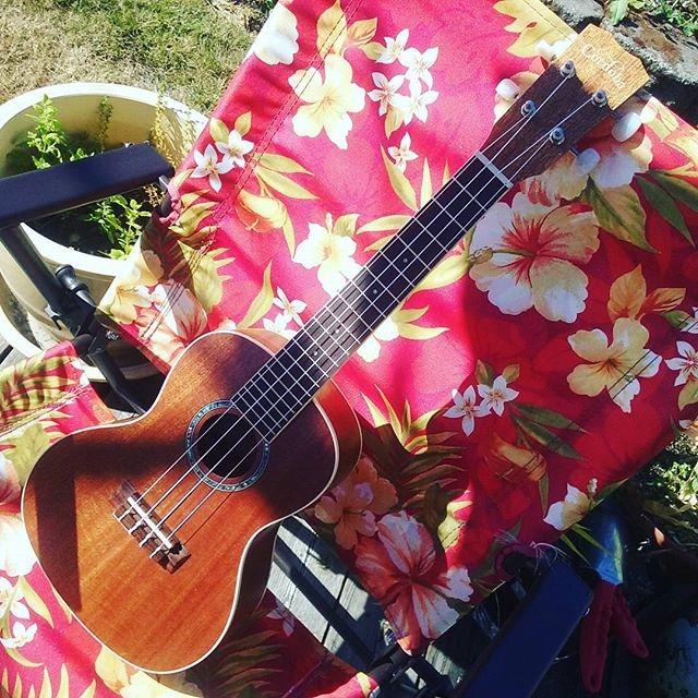 Cordoba 15CM Concert Ukulele - Hand Crafted With Mahogany Top, Back & Sides, Authentic Abalone Rosette & Satin Finish & Premium Italian Aquila Strings customer photo 2