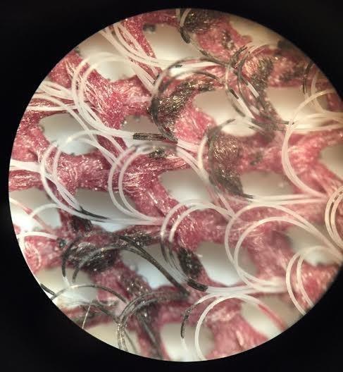 AmScope SE305R-PZ Forward Binocular Stereo Microscope, WF10x and WF20x | 10X-60X Magnification Range customer photo 2