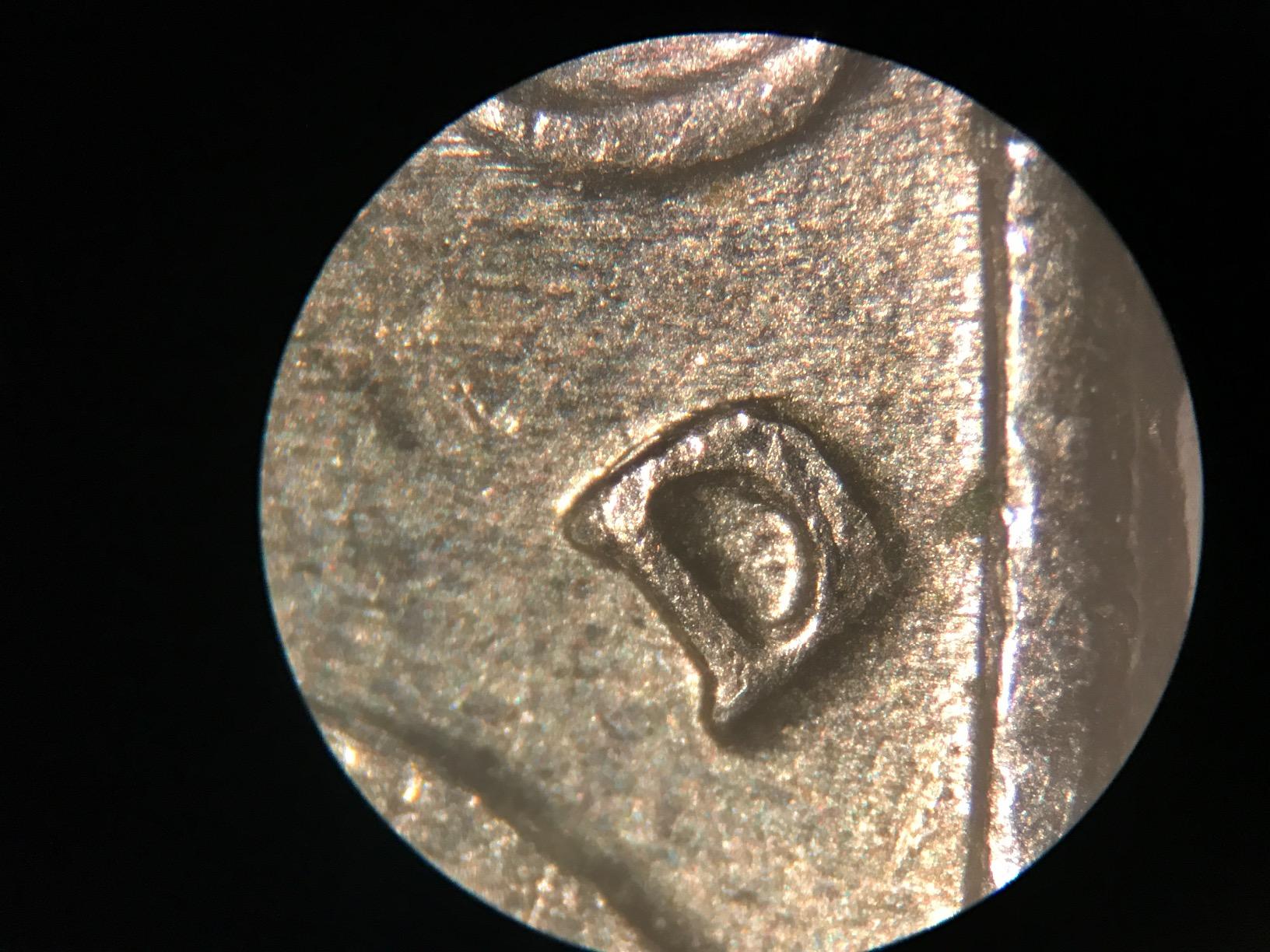 AmScope SE306R-P20 Forward-Mounted Binocular Stereo Microscope, WF20x | 40X & 80X Magnification customer photo 1