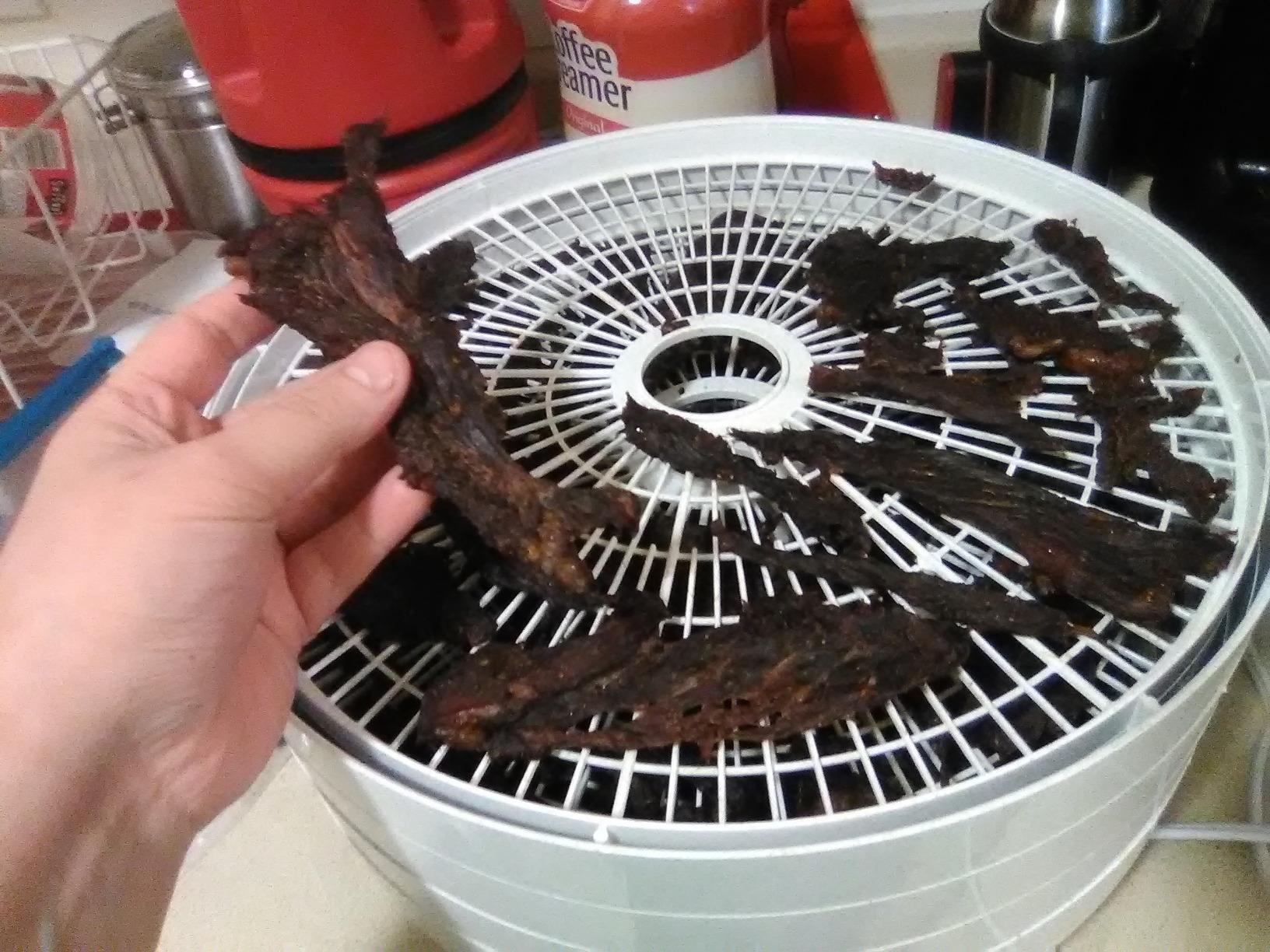 NESCO FD-75A Snackmaster Pro Food Dehydrator, For Snacks, Fruit, Beef Jerky, Gray customer photo 1
