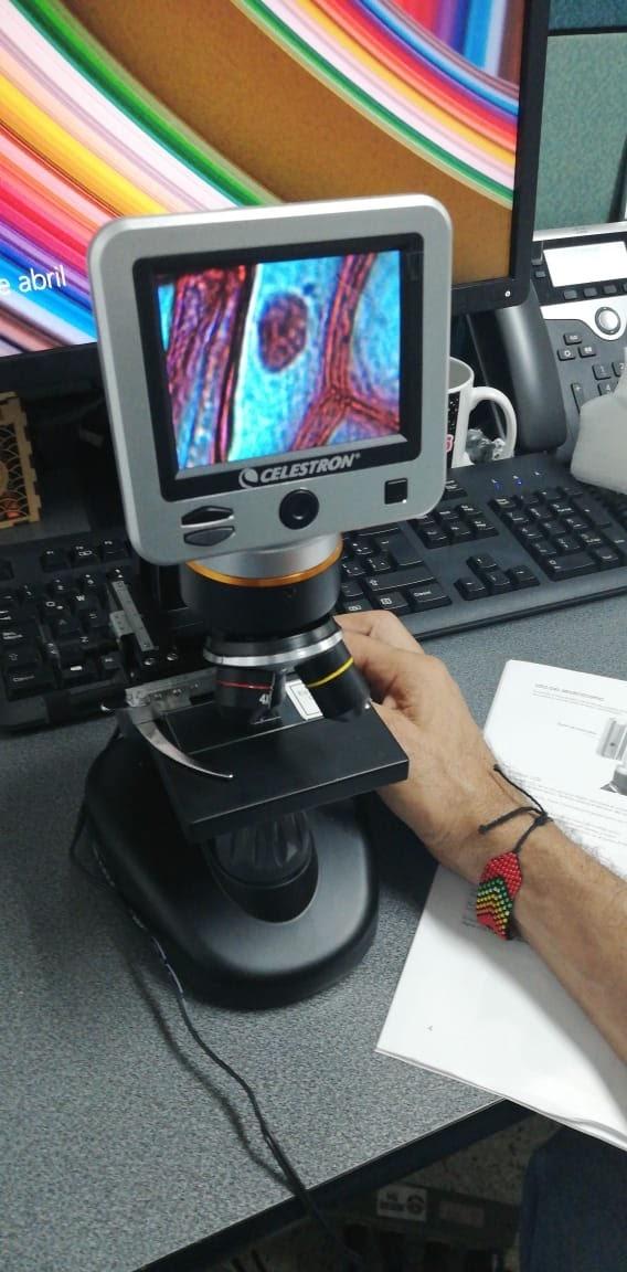 Celestron LCD Digital Microscope II with 3.5-Inch Rotating LCD Touchscreen customer photo 1