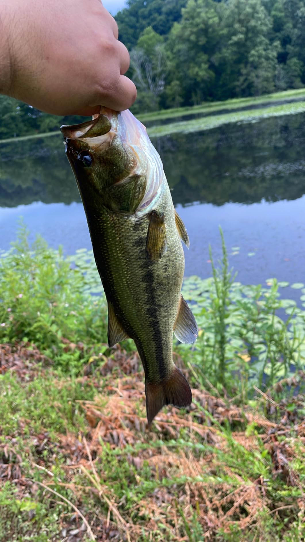 Ugly Stik GX2 Spinning Reel and Fishing Rod Combo customer photo 2