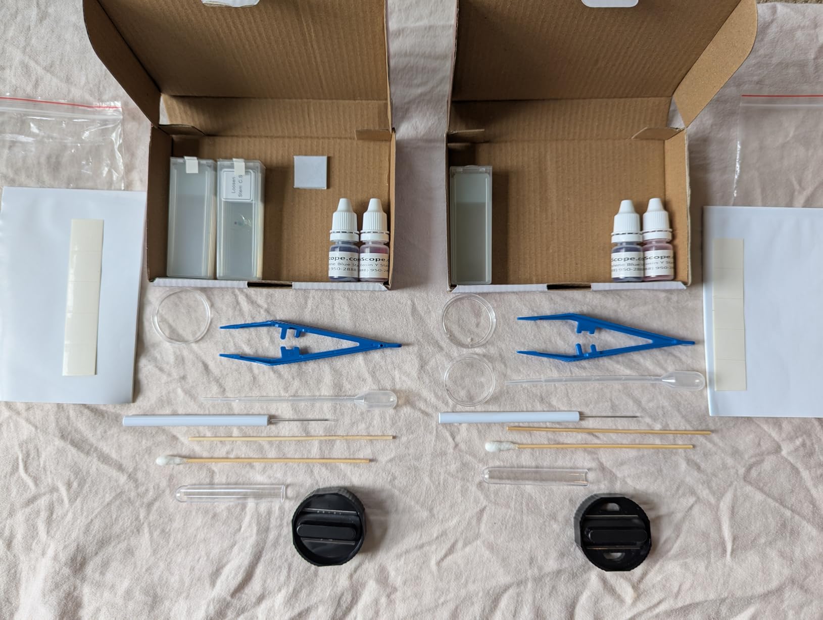 AmScope SP-14 Microscope Slide Preparation Kit - Includes Blank Slides and Tools customer photo 2