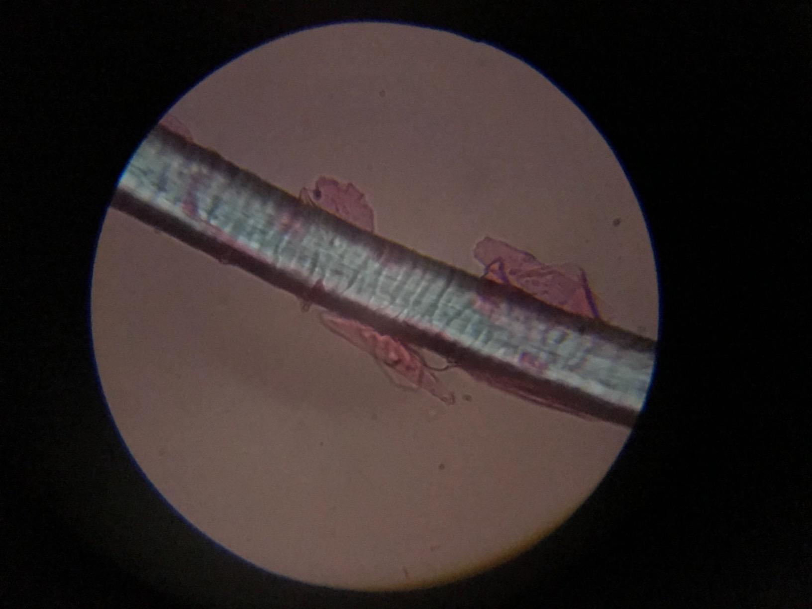 Rs' Science All-in-One Microscope Slide Preparation Kit, 40 Pieces customer photo 2