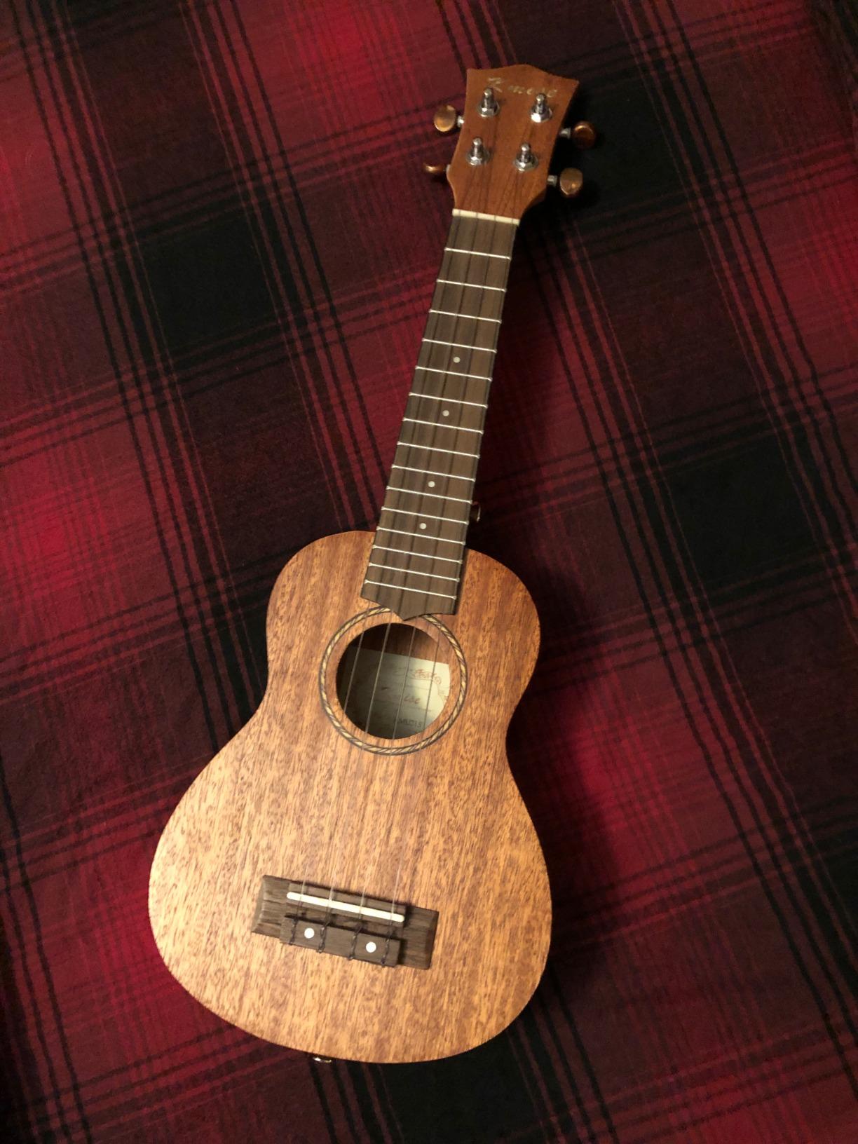 Kmise Professional Ukulele for Adult Beginner, Free Online Lesson 21 inch Soprano Mahogany Ukelele with Kids Ukele Bundle Starter Kit Gig Bag Case, Strap, Tuner, Nylon Strings, Book, Uke Gift Choice customer photo 1