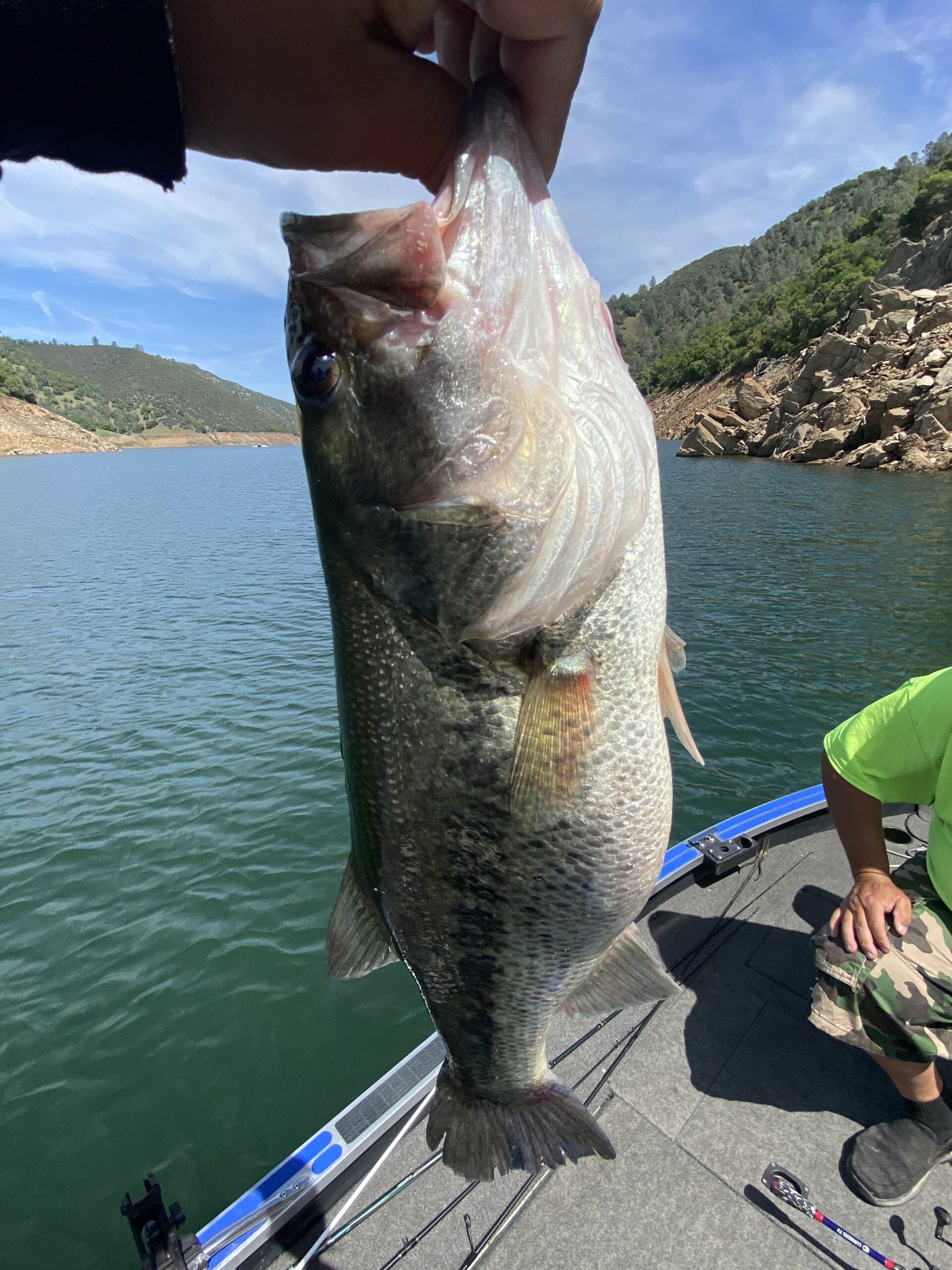 Shimano SLX DC Baitcasting Fishing Reel customer photo 1