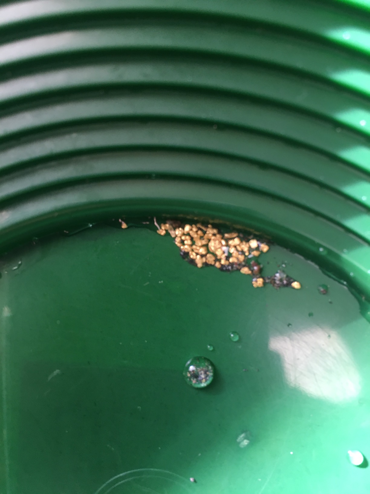 Compact Gold Prospecting Kit with 12