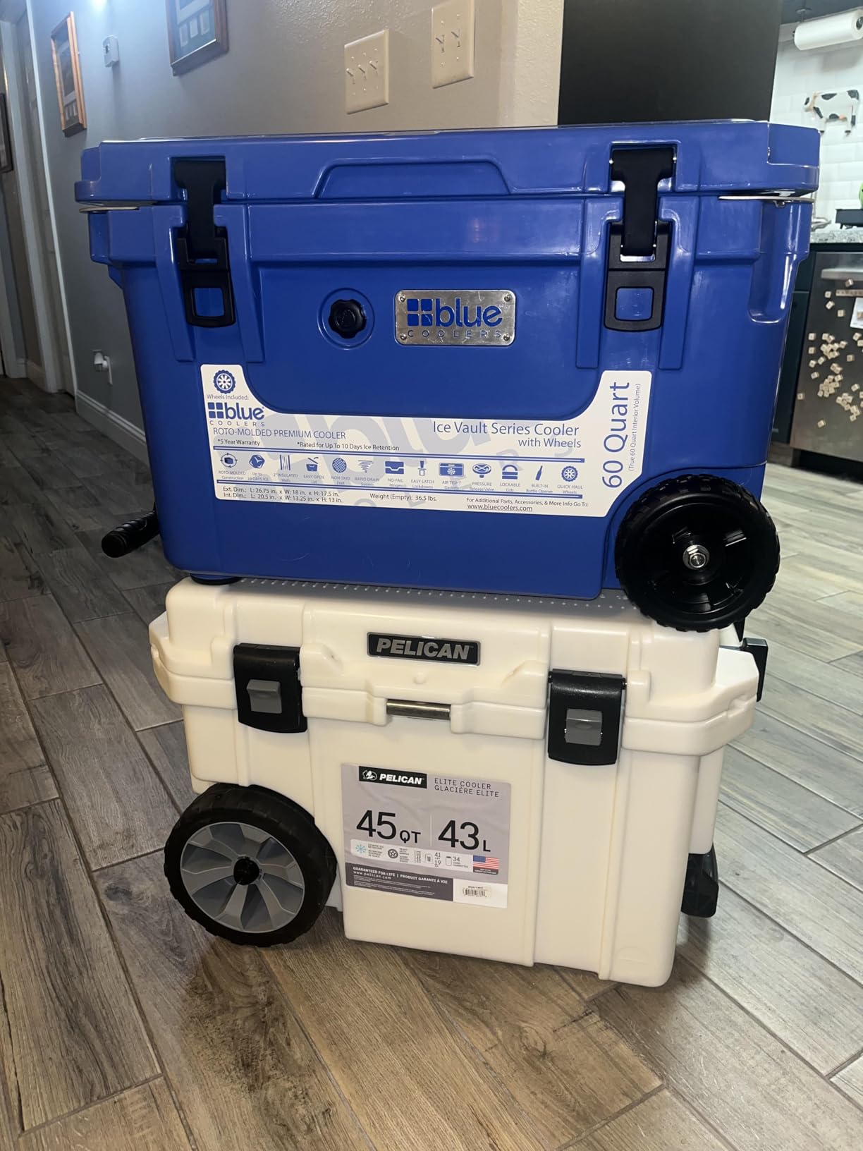 Blue Coolers Ice Vault - 60 Quart Roto-Molded Ice Cooler (Large Ice Chest Holds Ice up to 10 Days) customer photo 1