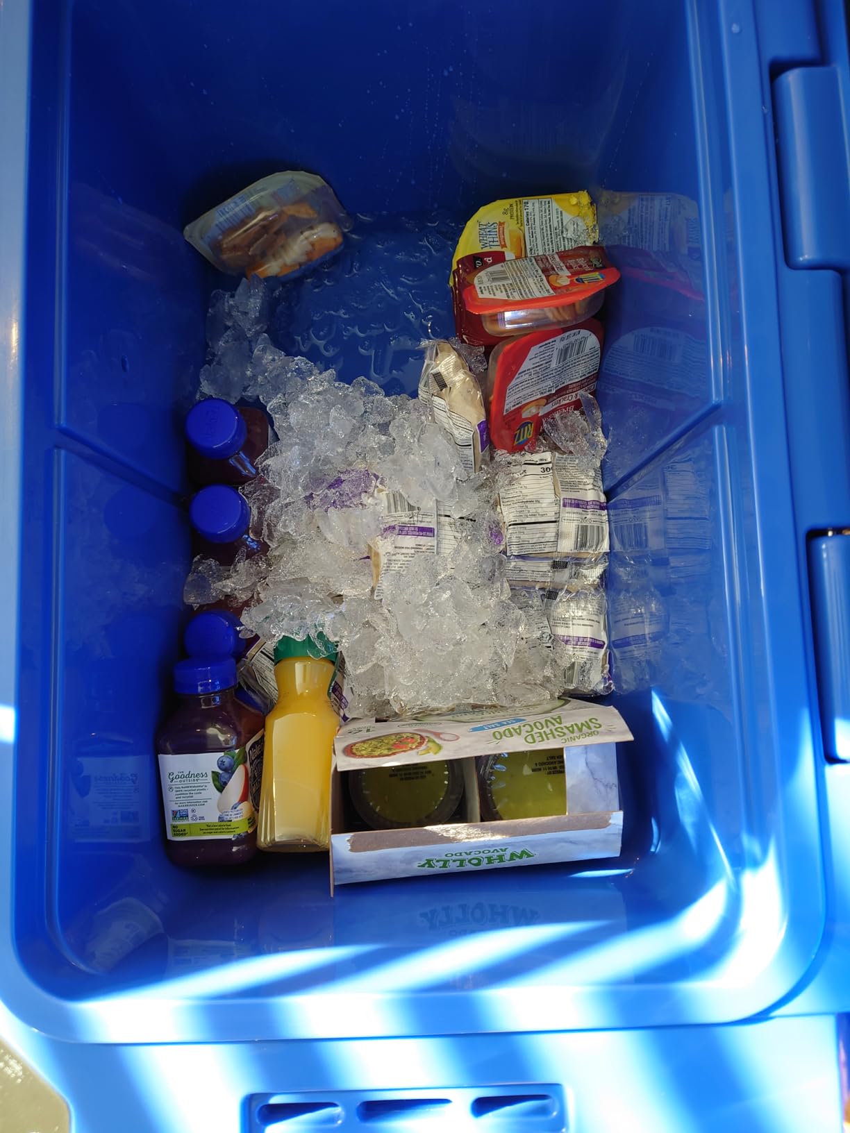 Blue Coolers Ice Vault - 60 Quart Roto-Molded Ice Cooler (Large Ice Chest Holds Ice up to 10 Days) customer photo 2