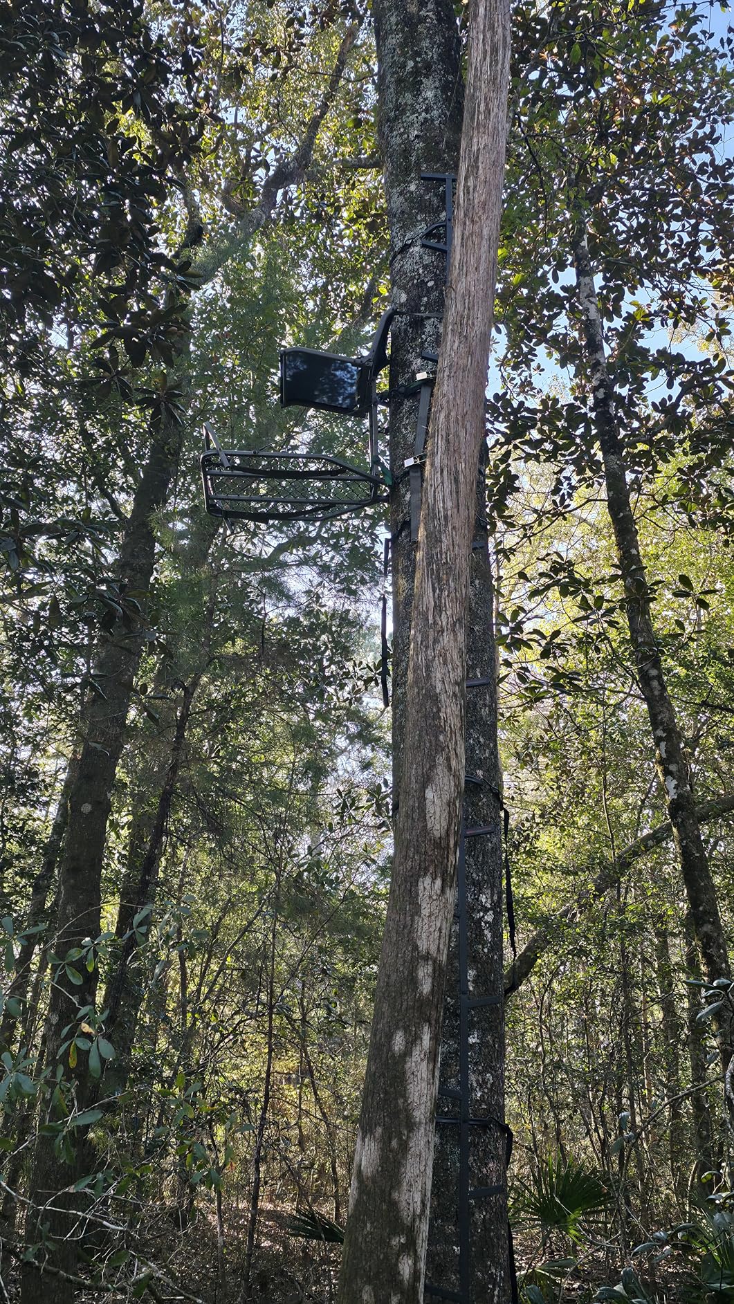 Summit Treestands Ledge XT Hang-on Tree Stand | Lightweight | Folding Comfort-Mesh Seat (SU82117) customer photo 1