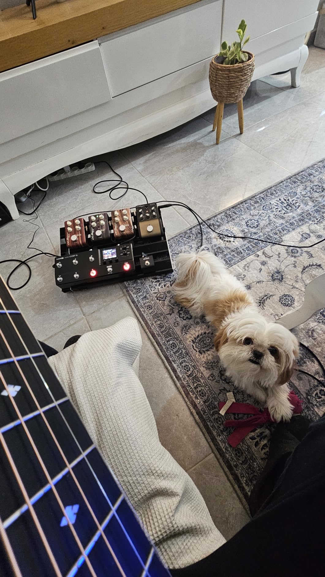 Line 6 HX Stomp XL customer photo 1