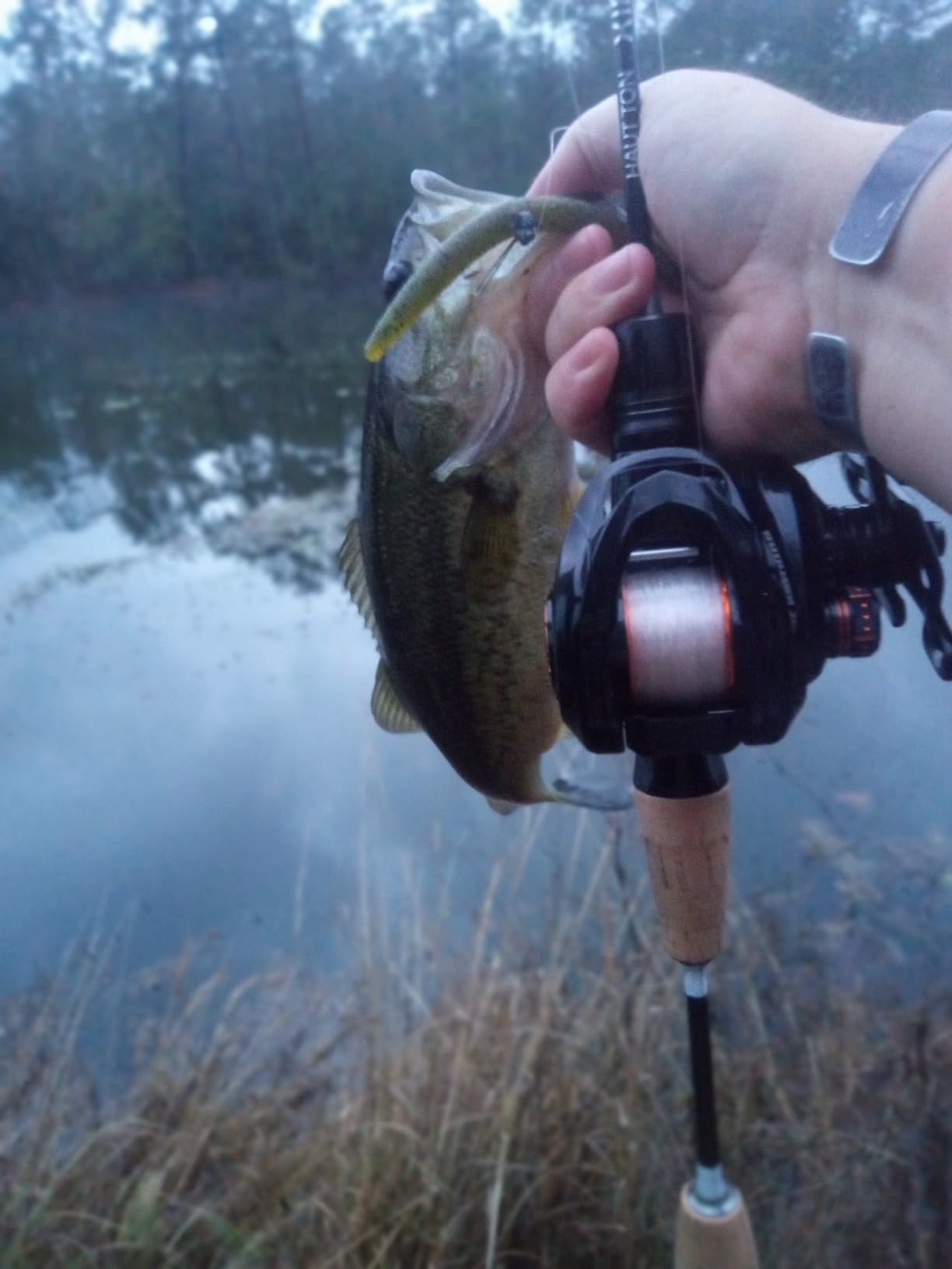 KastKing Zephyr Bait Finesse Baitcasting Reel, Carbon Fiber Fishing Reel - Drag Clicker Version, 7.2:1 Gear Ratio Fishing Reel - 5.6oz Lightweight Bait Finesse System Casting Reel customer photo 2