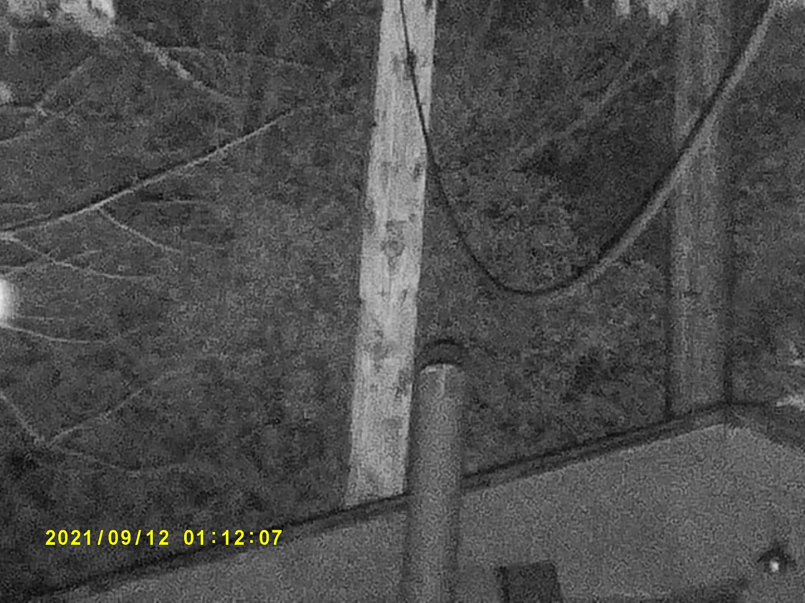 Bushnell EX650 Digital Equinox X650 Night Vision 5x 32mm Monocular customer photo 2