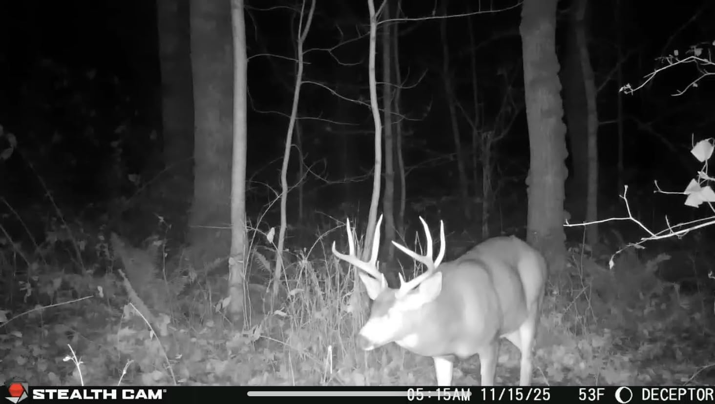 Stealth Cam Deceptor No Glo 80ft Detection & IR Range 40MP Photo 1440P HD Video Capture Remote App Contol Wireless Hunting Cellular Trail Camera - Available on AT&T & Verizon customer photo 1