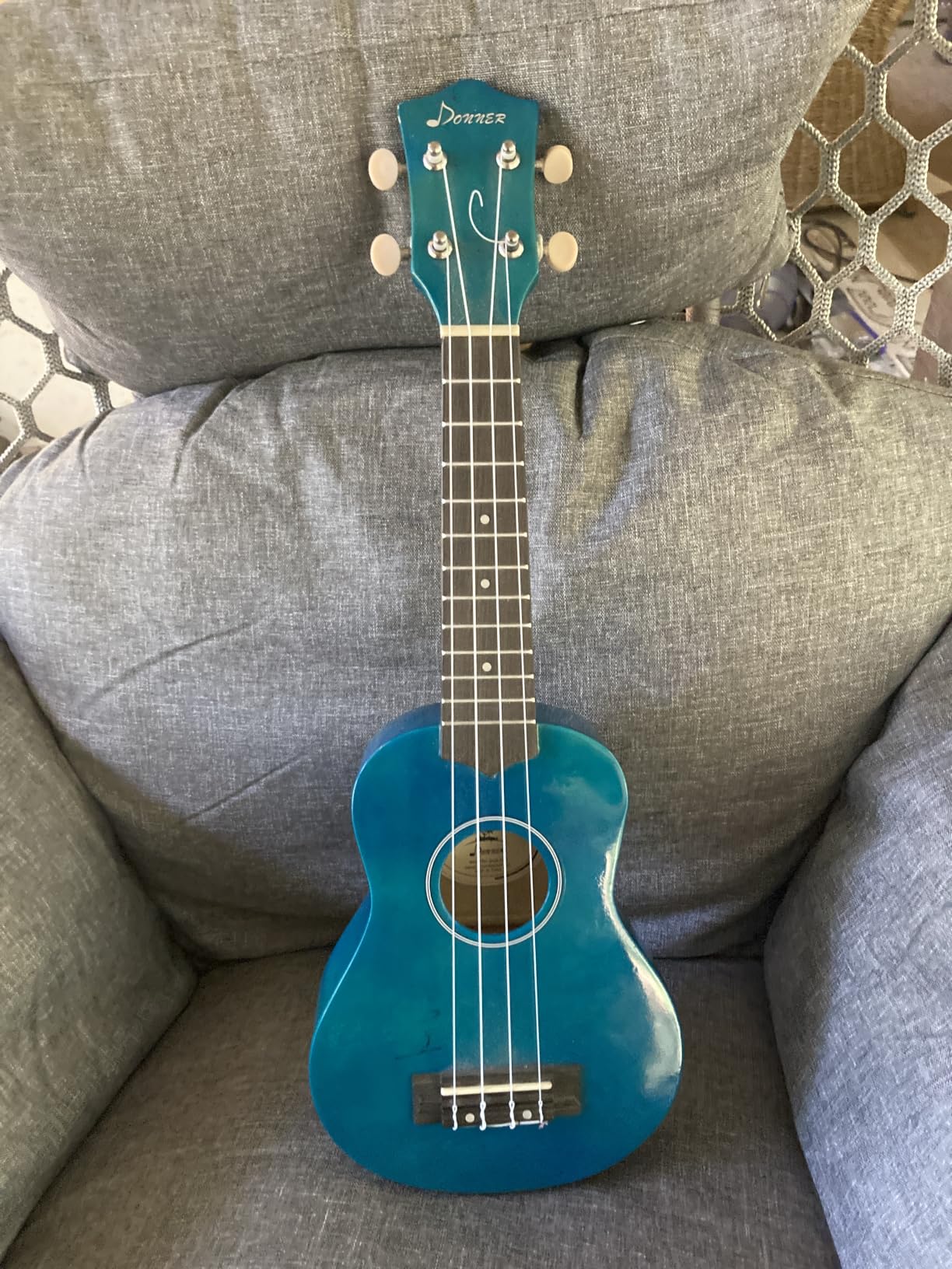 Donner Soprano Ukulele for Beginners 21 Inch Ukelele Starter Bundle Kit with Free Online Lessons Bag Strap String Tuner Picks Cloth Ukalalee Yukalalee (Blue) customer photo 1