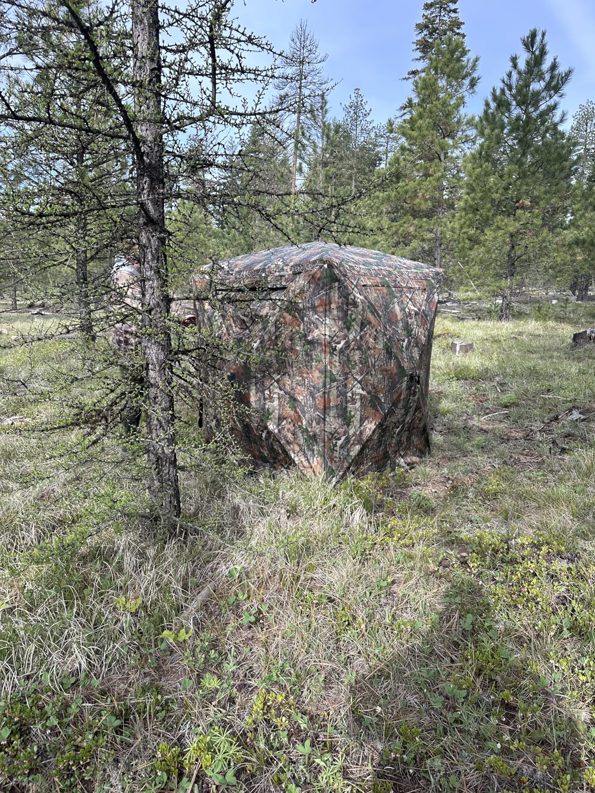 Hunting Blind, 2 Person Pop Up Blinds 360 Degree See Through, Portable Durable Hunting Ground Blinds for Deer and Turkey Hunting customer photo 1