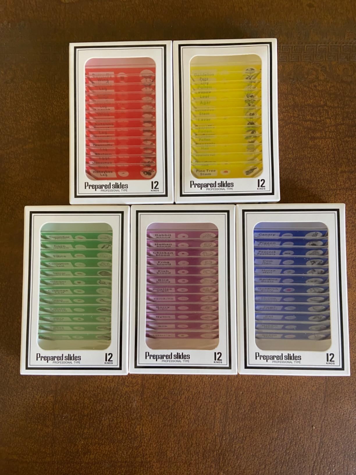 Jiusion 60Pcs Prepared Microscope Slides Specimen Set for Stereo Microscope - Plastic Biological Samples customer photo 1