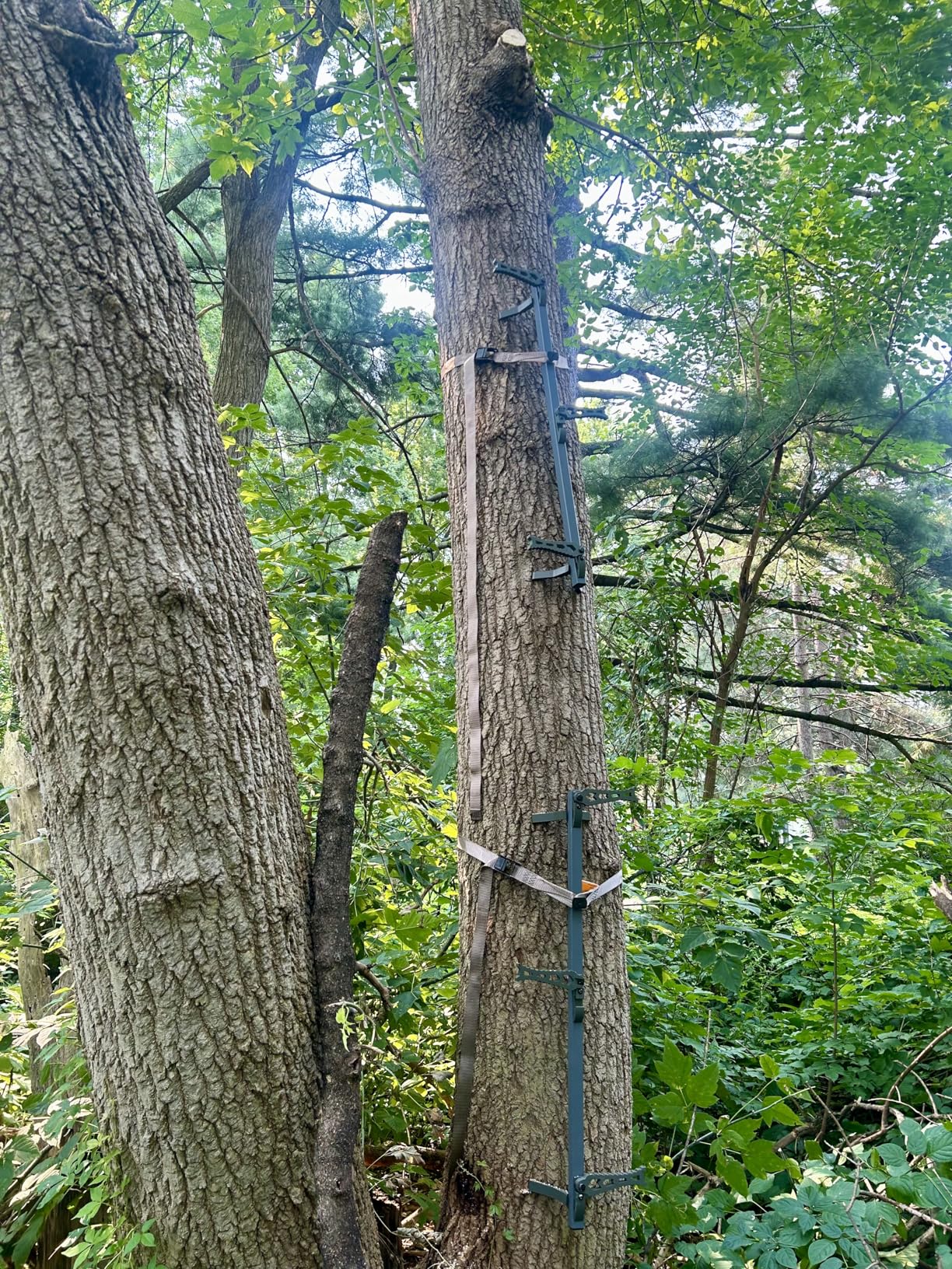 XOP Vanish Evolution - Cast Aluminum Hang On Tree Stand for Hunting - Deluxe Deer Stand customer photo 2