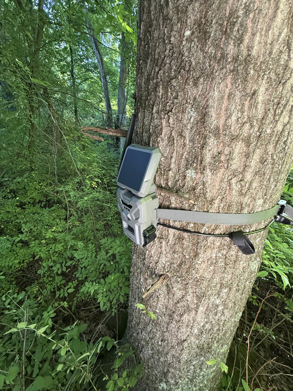 SPYPOINT Flex-S-Dark Solar Cellular Trail Camera - Built-in Solar Panel, 40MP Photos, 1080p Videos + Sound, No-Glow Game Camera, Night Vision, Motion Activated Trail Cam customer photo 2