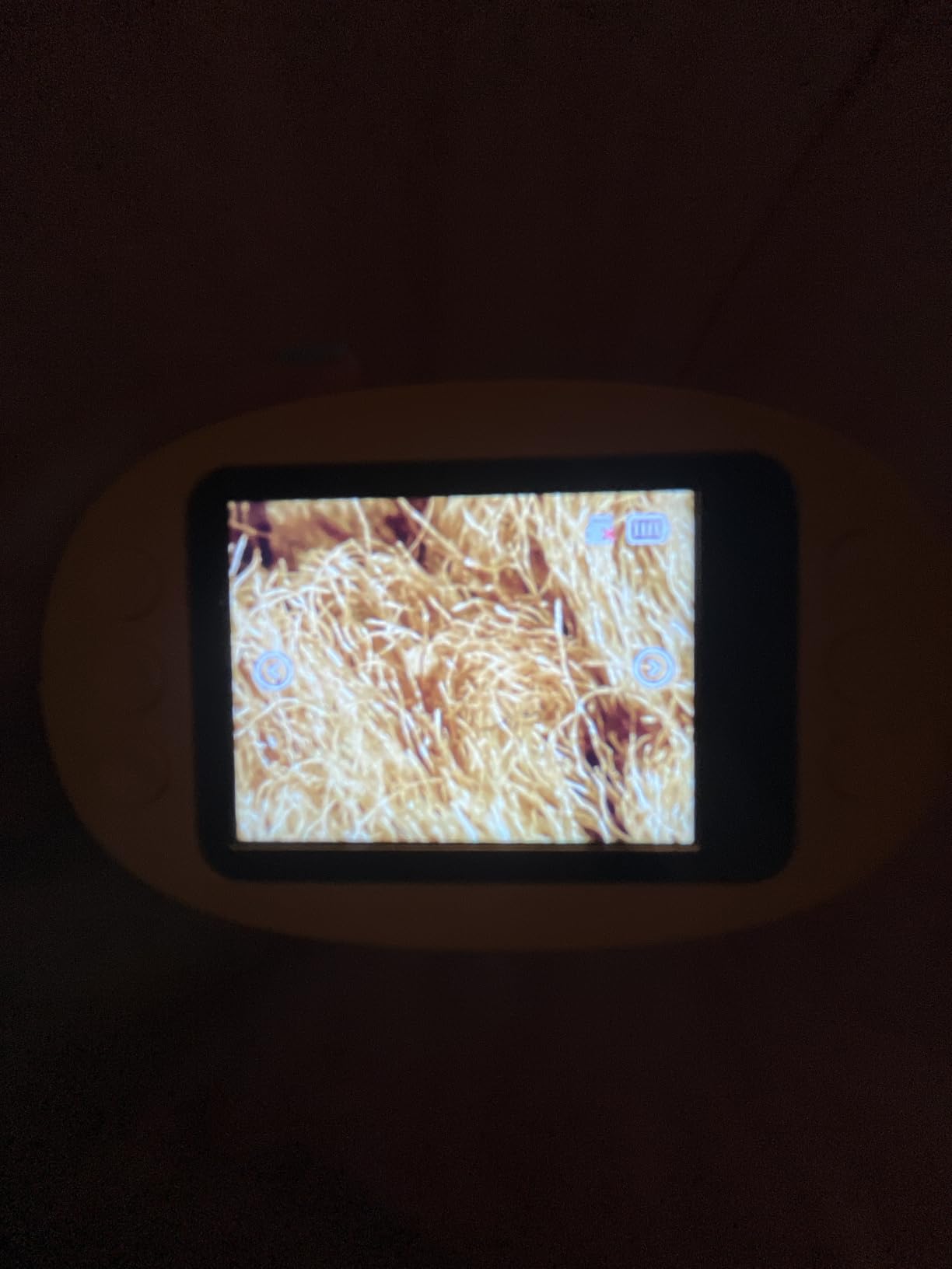 1000X Handheld Digital Microscope for Kids: Pocket Microscope with 2.0