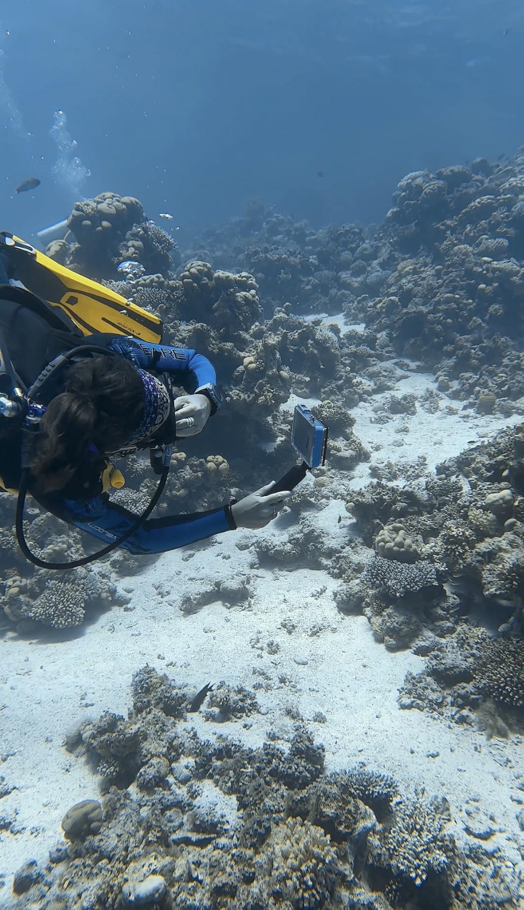 ProShot Dive 2.0 - Waterproof iPhone Housing, Rated to 130 ft, Compatible with All iPhones Including 17 Pro & 17 Pro Max customer photo 1