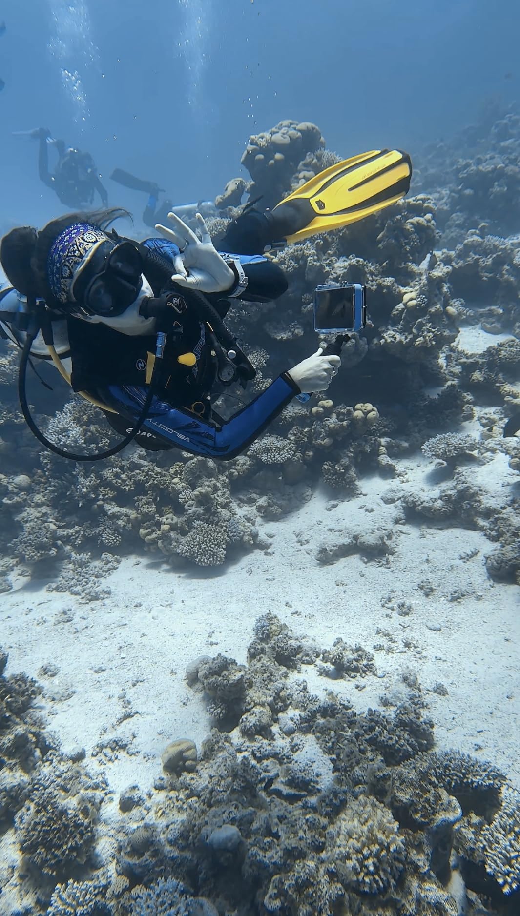 ProShot Dive 2.0 - Waterproof iPhone Housing, Rated to 130 ft, Compatible with All iPhones Including 17 Pro & 17 Pro Max customer photo 2
